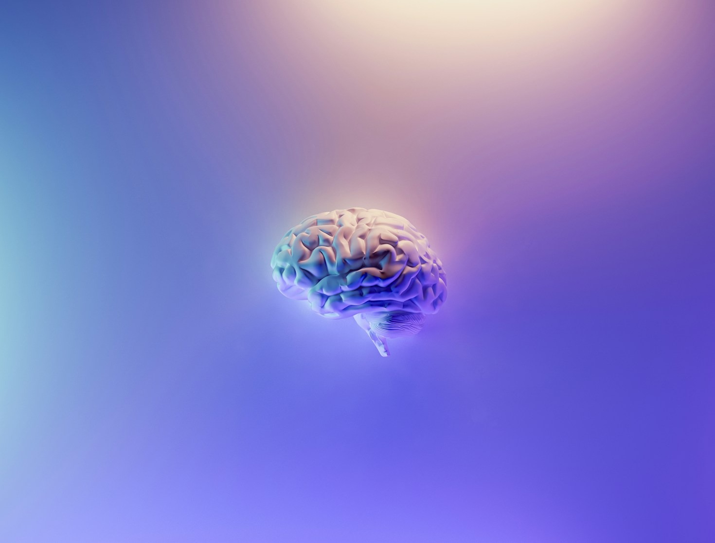 Unlocking The Mysteries Of The Human Brain