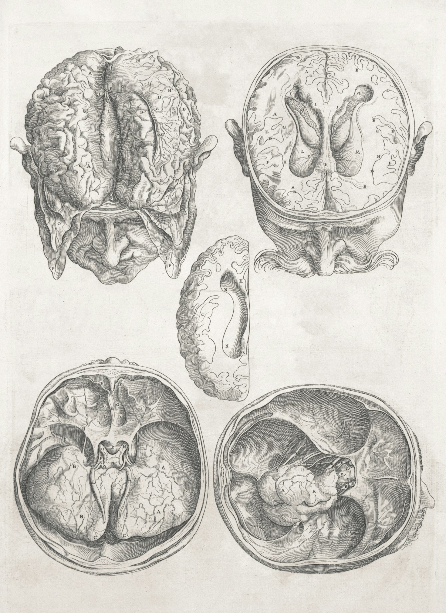Top Trends In Modern Neurological Research